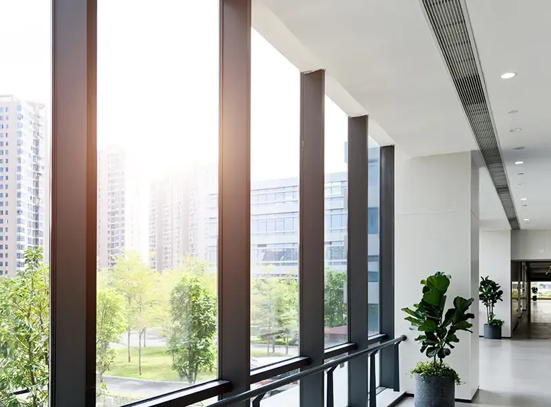 Bright office hallway with polished windows and floors